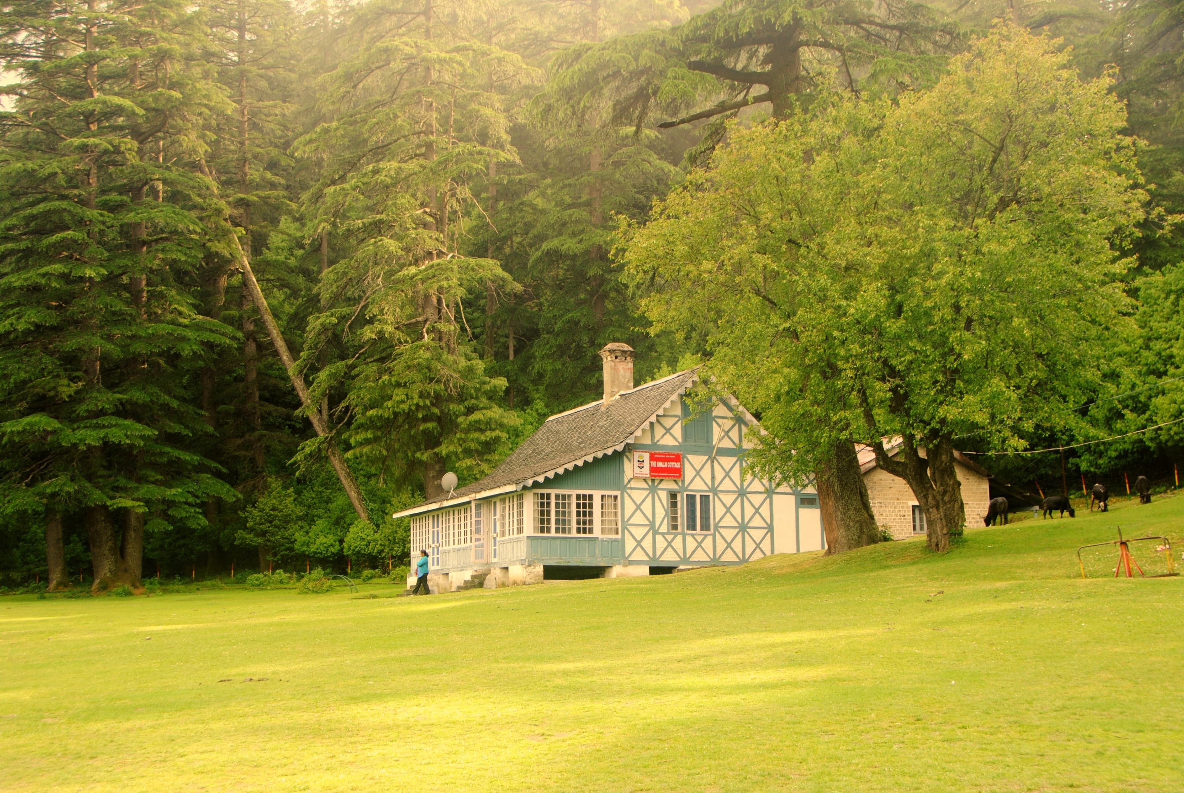 Blog image 1